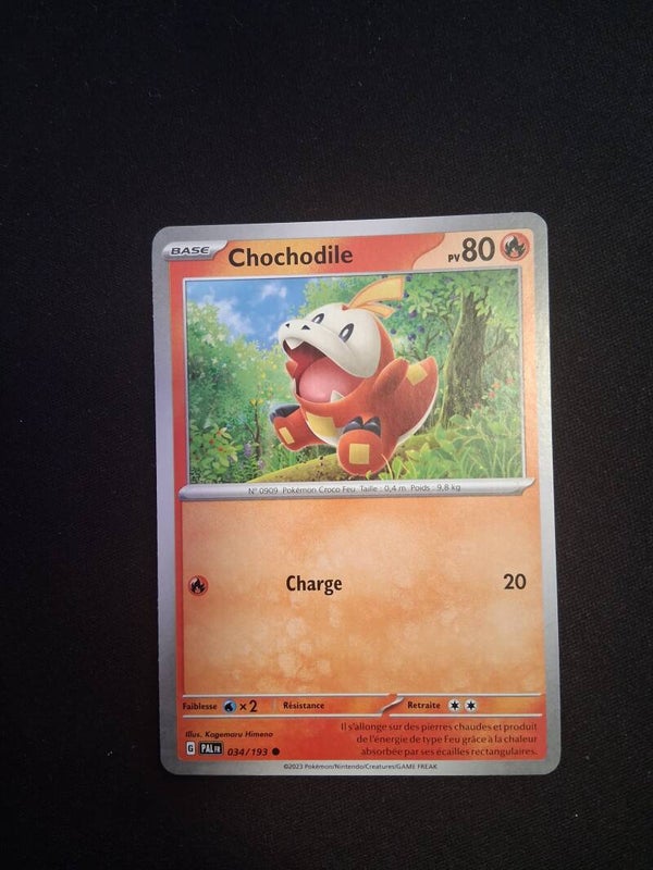 Chochodile 80-1