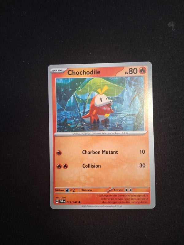 Chochodile 80-12