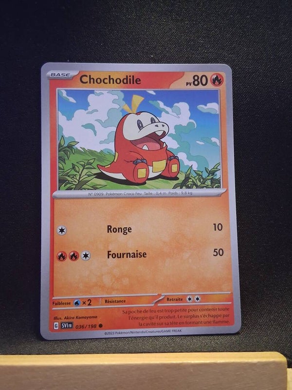 Chochodile 80-14