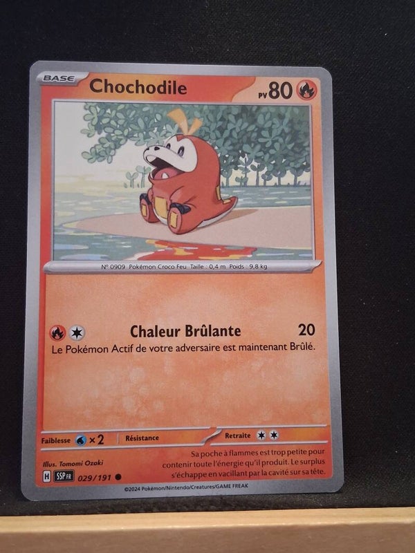 Chochodile 80-20
