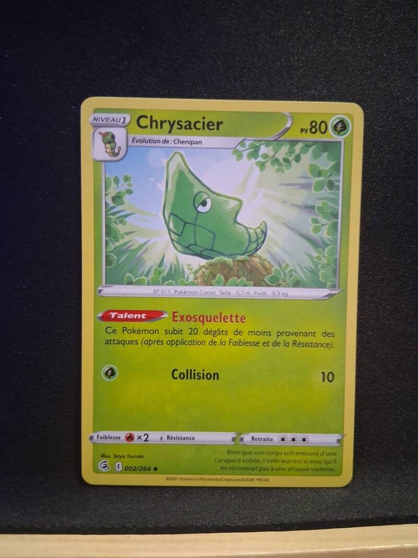 Chrysacier 80-1