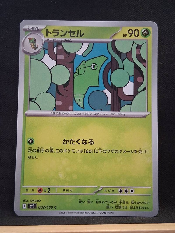 Chrysacier 90 (Japonais)4