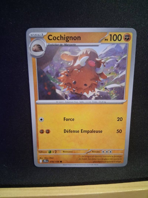 Cochignon 100-1