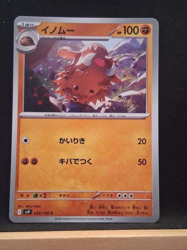 Cochignon 100 (Japonais)1