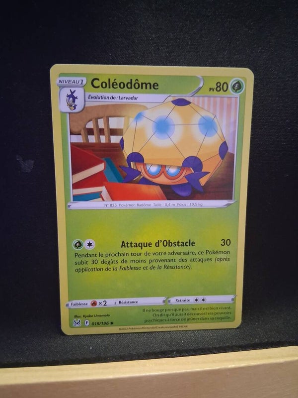 Coleodome 80-1