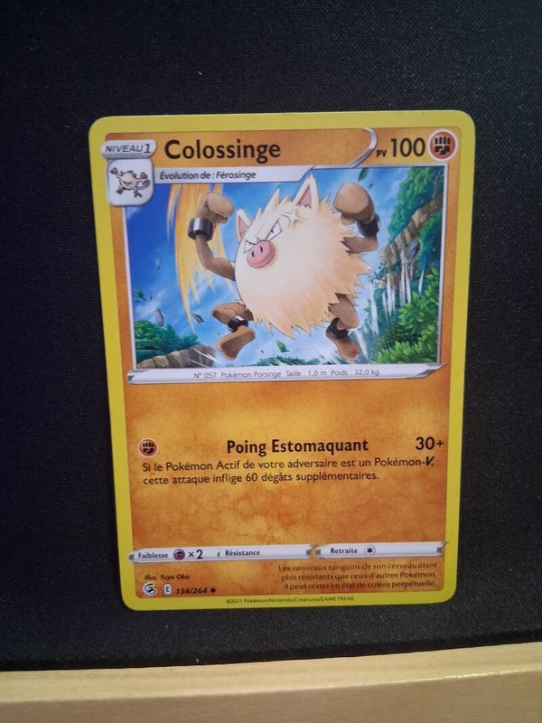 Colossinge 100-1