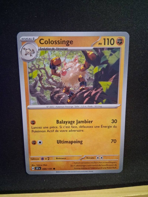 Colossinge 110-3
