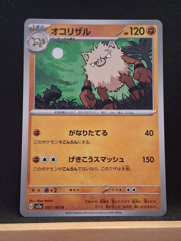Colossinge 120 (Japonais)1