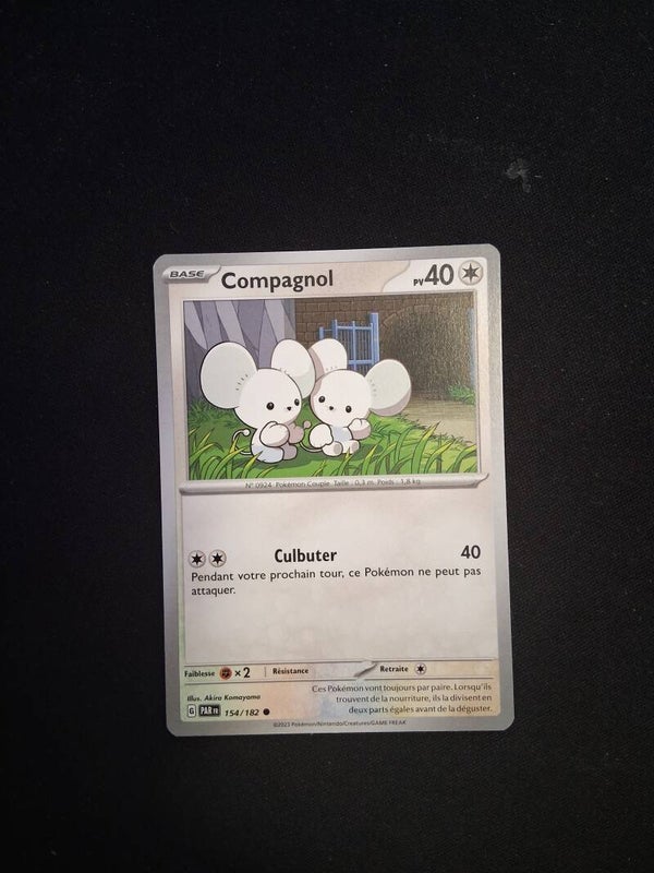 Compagnol 40-3