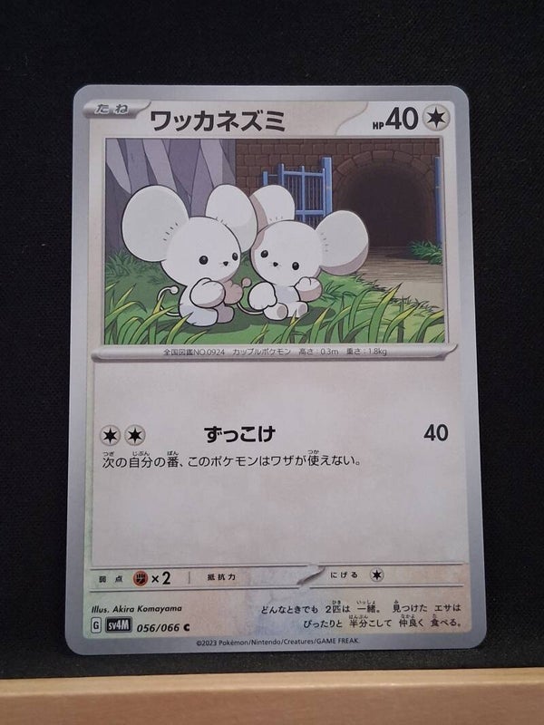 Compagnol 40 (Japonais)1