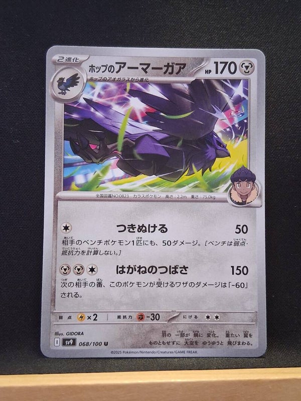 Corvaillus De Nabil 170 (Japonais)1