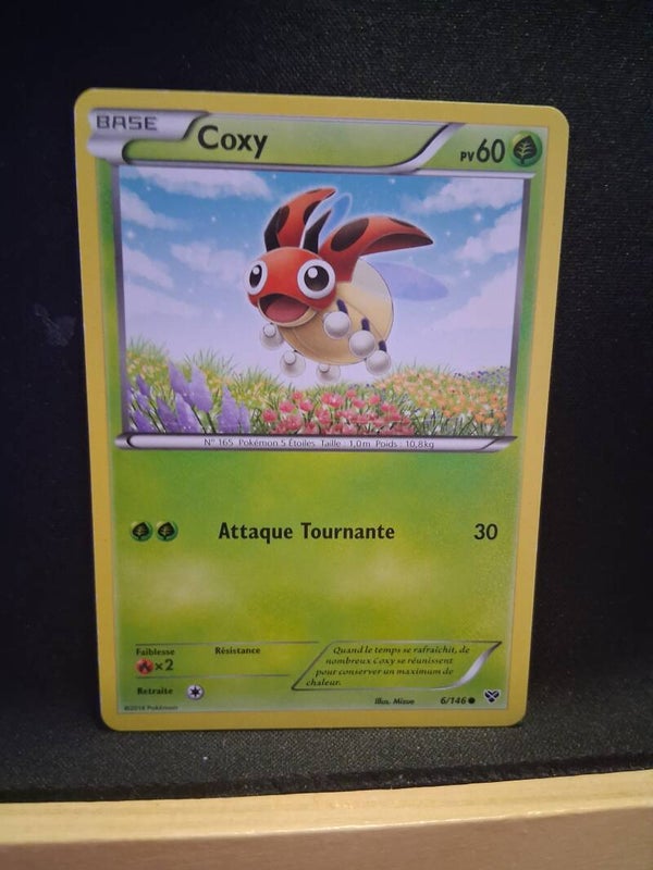 Coxy 60-6