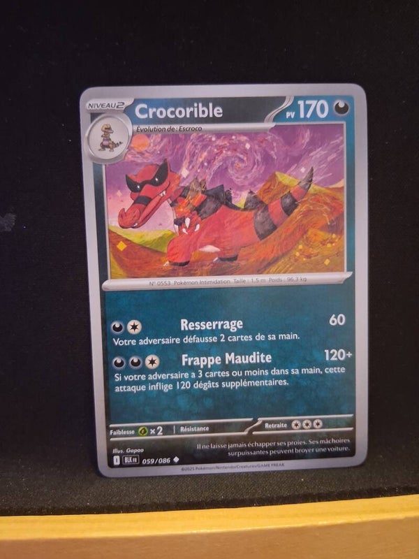 Crocorible 170-1