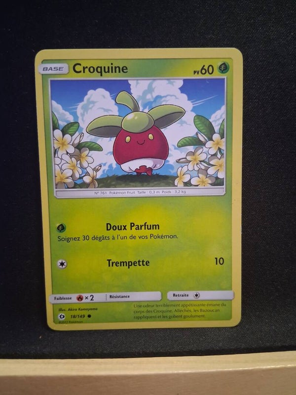Croquine 60-1