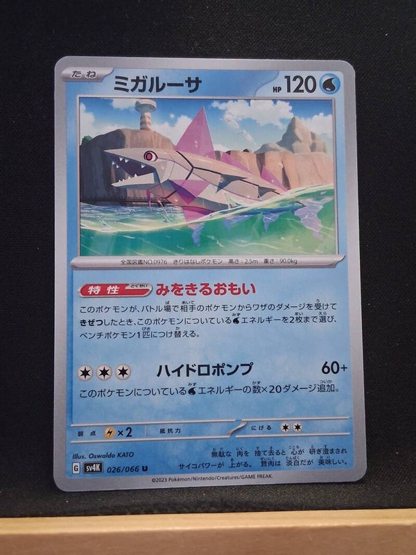 Délestin 120 (Japonais)1