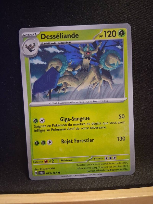 Desseliande 120-1