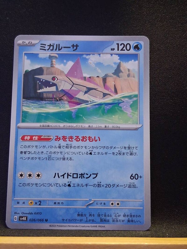 Dlestest 120 (Japonais)1