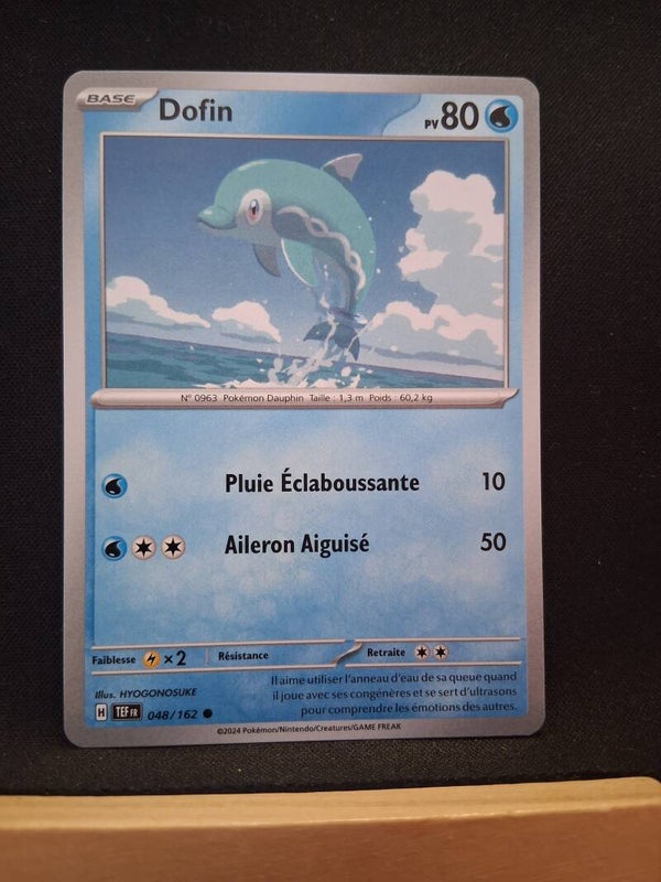 Dofin 80-1