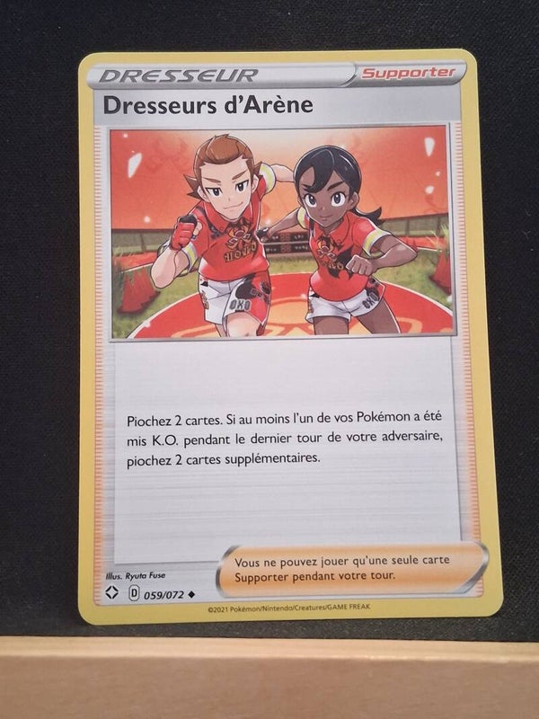 Dresseurs D'Arene (Dresseur)1