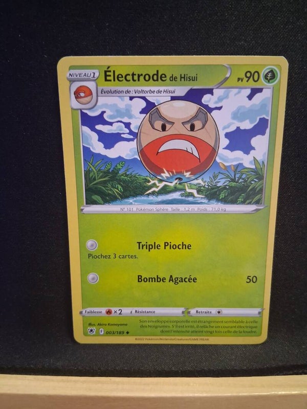 Electrode De Hisui 90-1
