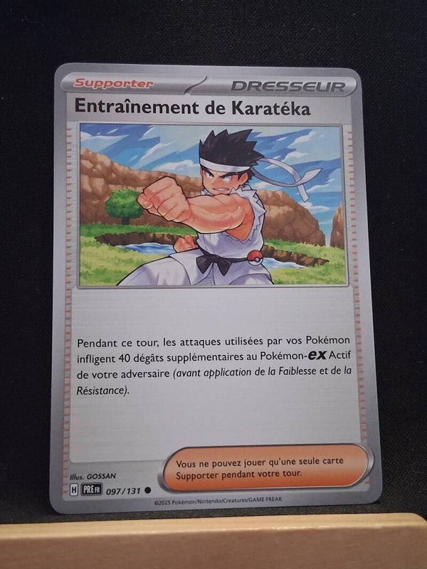 Entrainement De Karateka (Dresseur)1