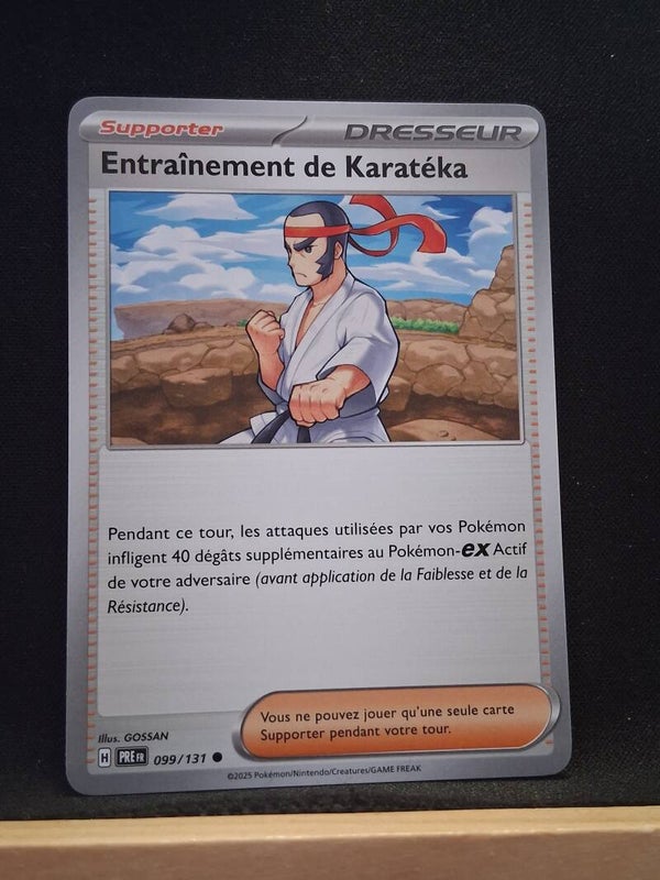 Entrainement De Karateka (Dresseur)4