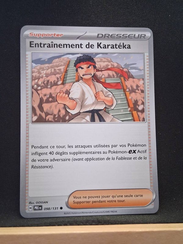 Entrainement De Karateka (Dresseur)6