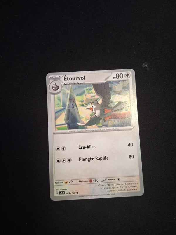 Etourvol 80-1