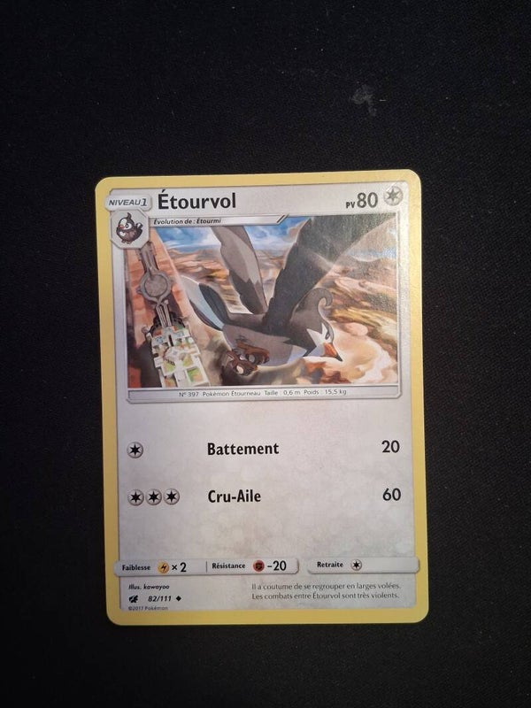 Etourvol 80-4