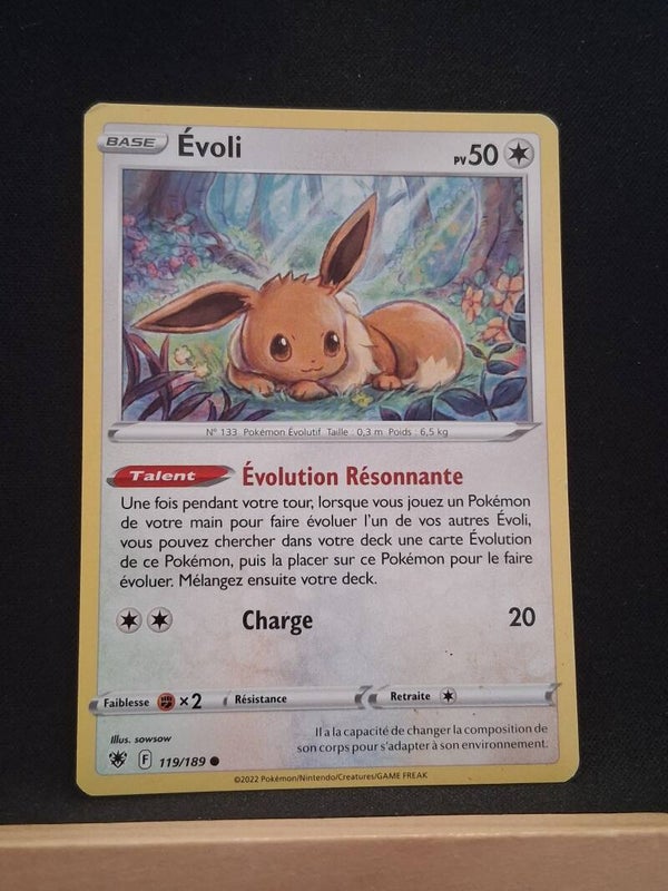 Evoli 50-8