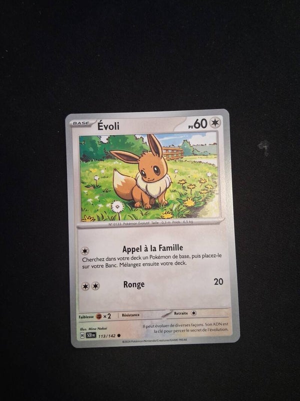 Evoli 60-1