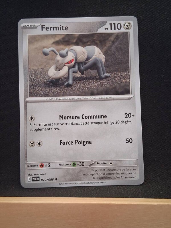Fermite 110-2