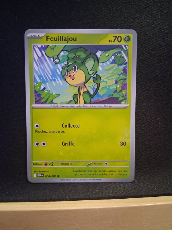 Feuillajou 70-1