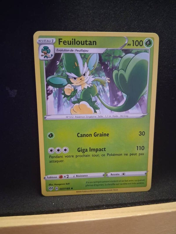 Feuiloutan 100-5