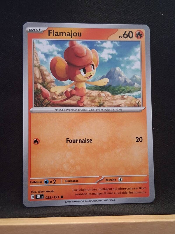 Flamajou 60-6