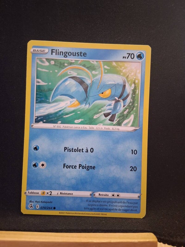Flingouste 70-3