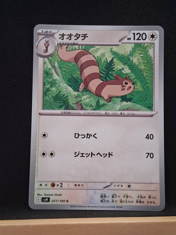 Fouinar 120 (Japonais)1