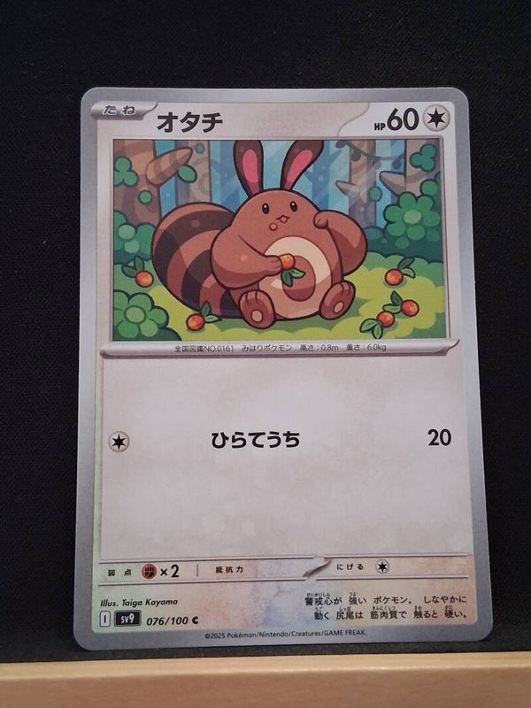 Fouinette 60 (Japonais)1