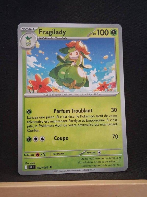 Fragilady 100-1