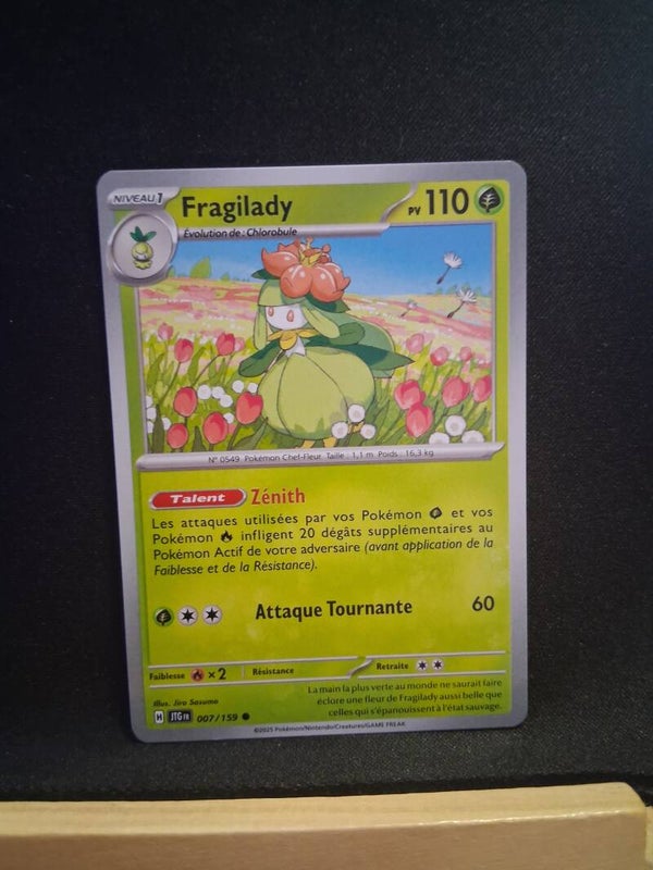 Fragilady 110-1