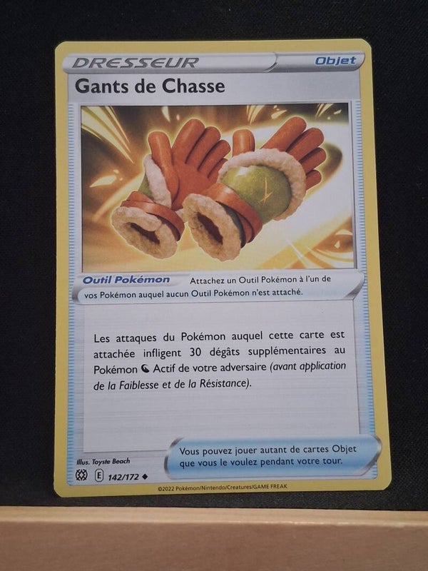 Gants De Chasse (Dresseur)1