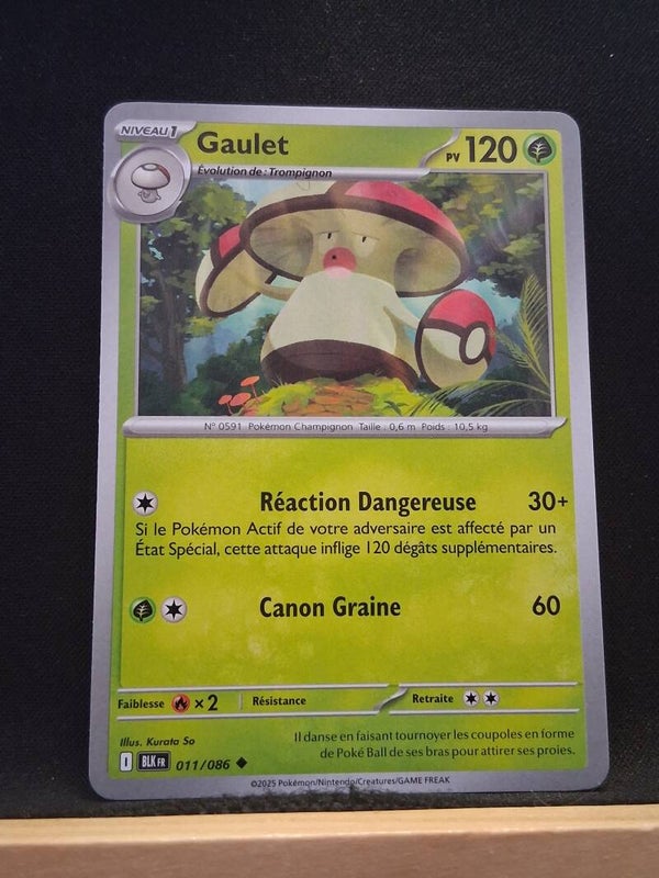 Gaulet 120-1