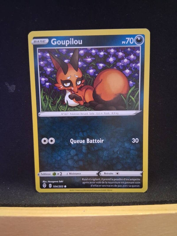 Goupilou 70-3