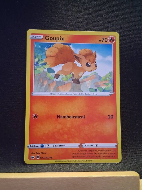 Goupix 70-4