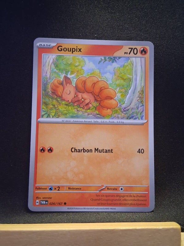 Goupix 70-6