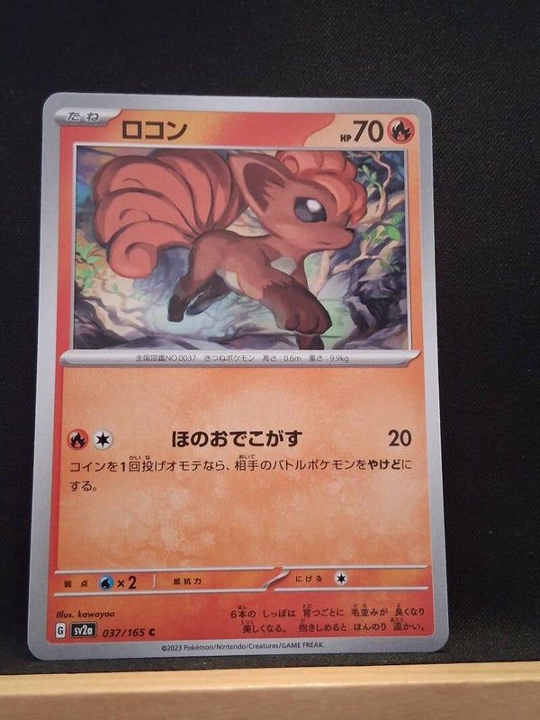 Goupix 70 (Japonais)1