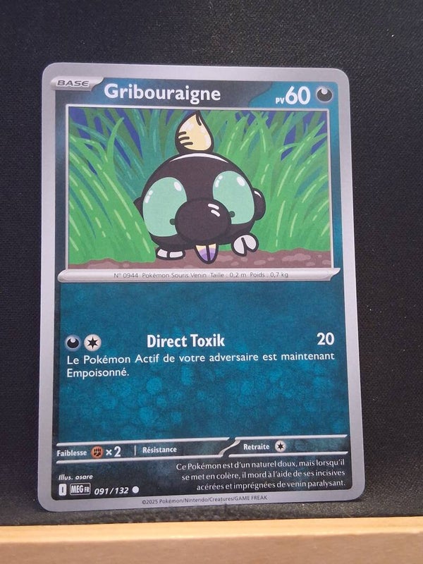 Gribouraigne 60-10