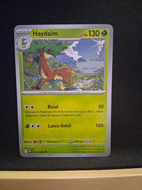 Haydaim 130-1