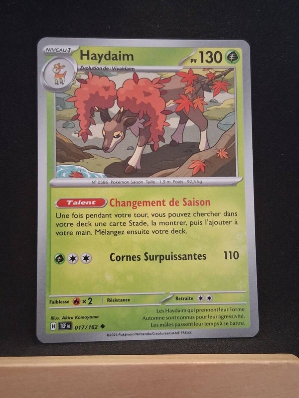 Haydaim 130-4