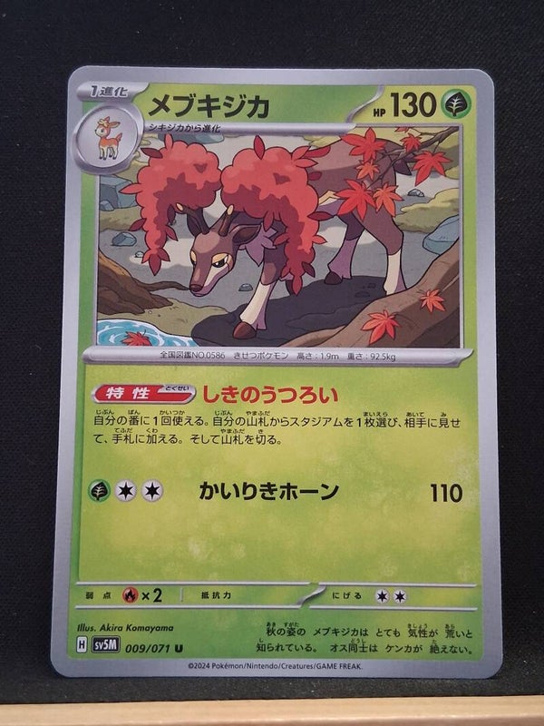Haydaim 130 (Japonais)1